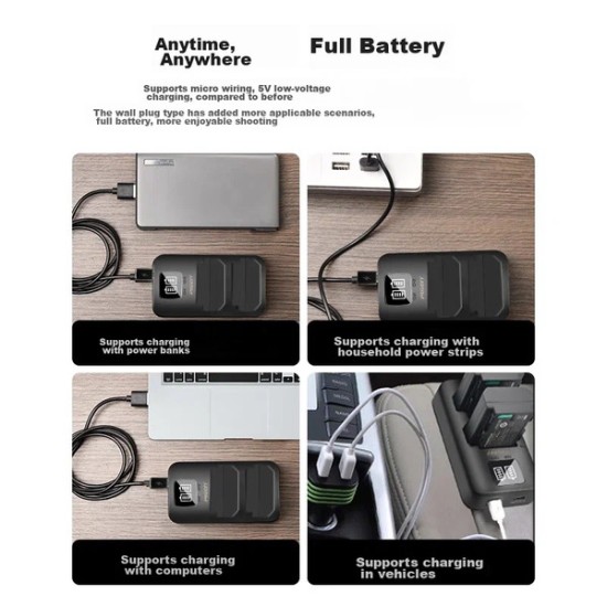 Pisen FZ100 Dual Slot Smart Charger